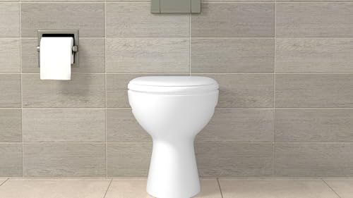 Fischer WB 5 N fissaggio nascosto WC bidet foro 10 mm