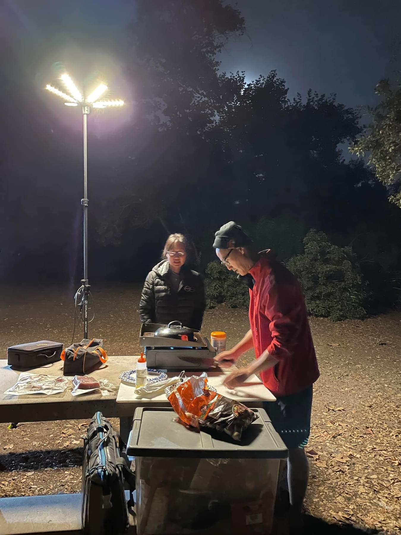 GoalZero Yeti 300 centrale elettrica 297Wh con luce Skylight