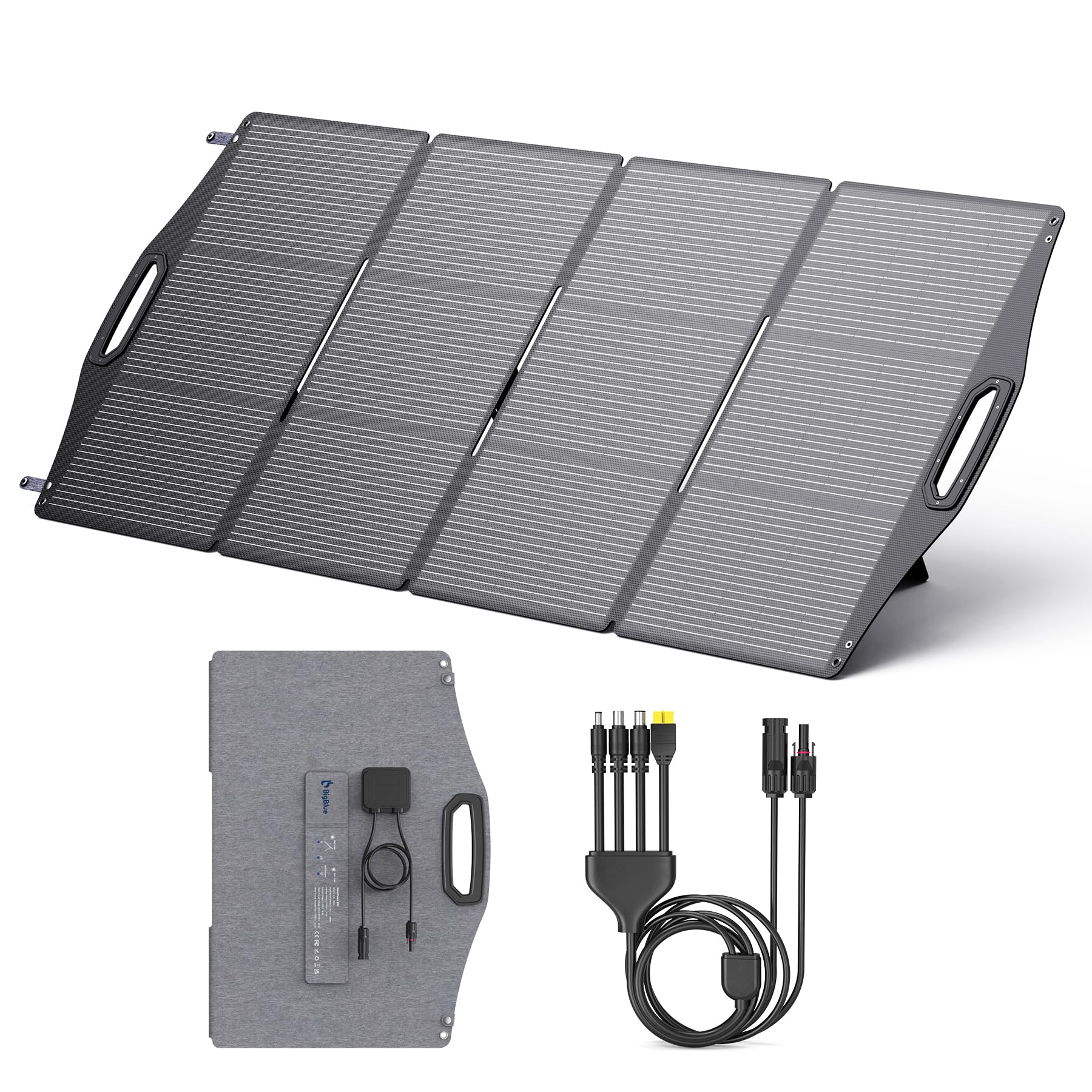BigBlue SolarPowa 100 pannello solare pieghevole 100W